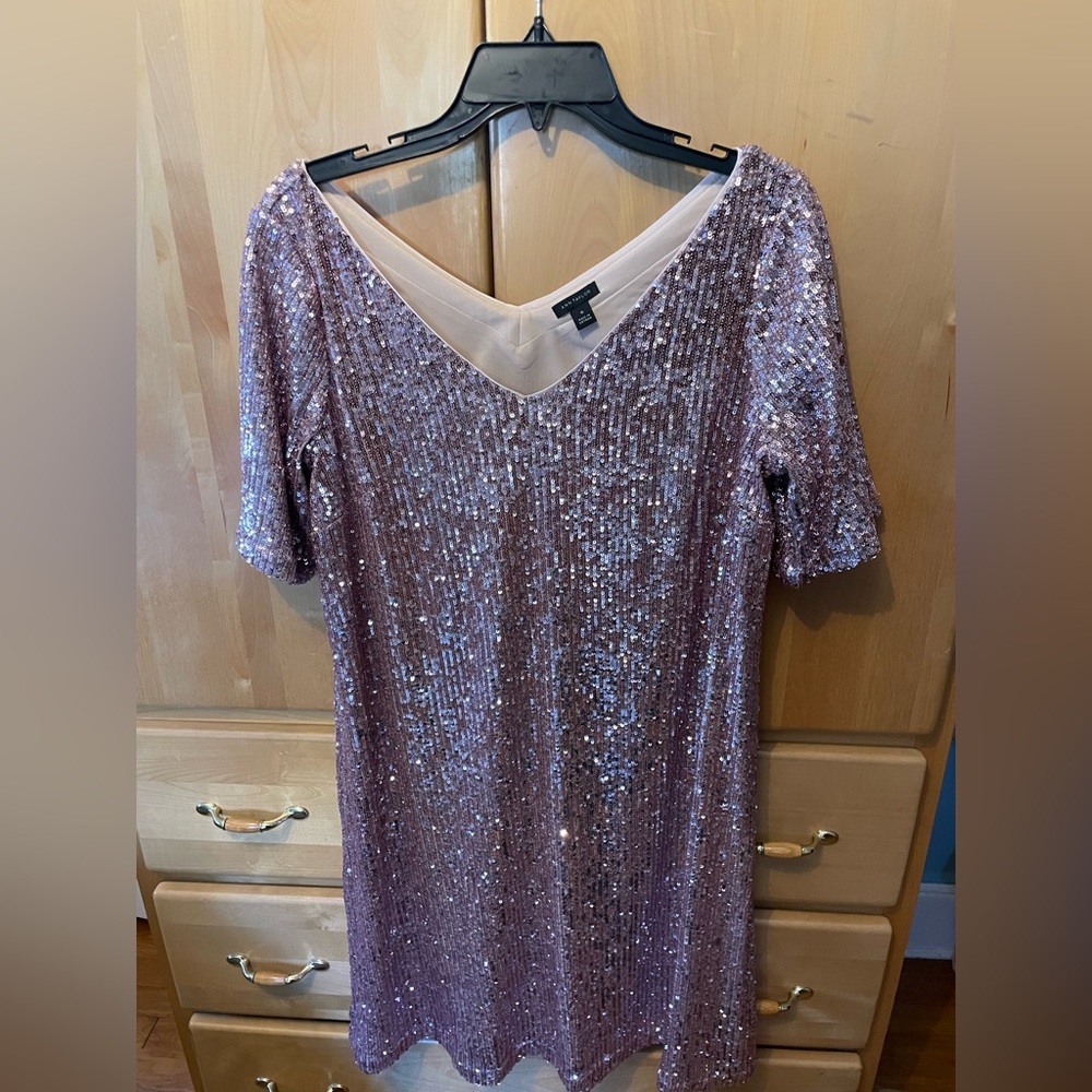 Ann Taylor Pink Sequin Shift Dress